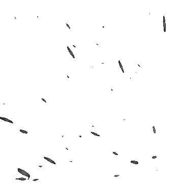 GIF afbeelding